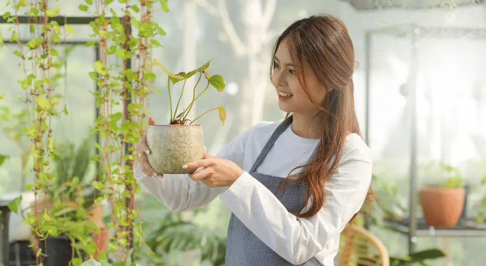Toprağı Hazırlayın ve Doğru Saksıyı Seçin