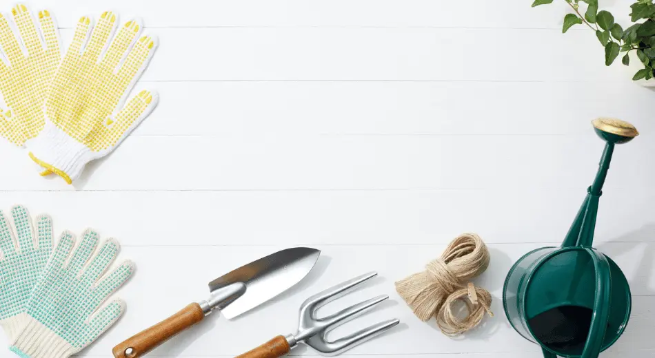 Temel Bahçe Malzemeleri ve Ekipmanları