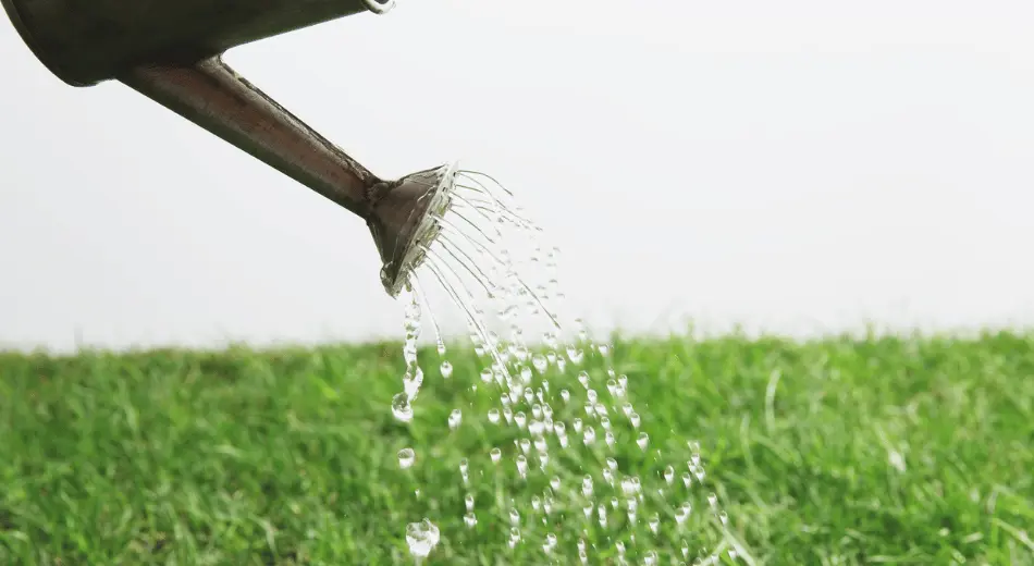 Sulama: Hayat Kaynağını Doğru Kullanın