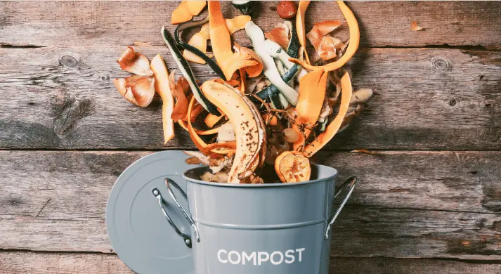 Adım Adım Kompost Yapımı: Yöntemler ve Uygulama Teknikleri