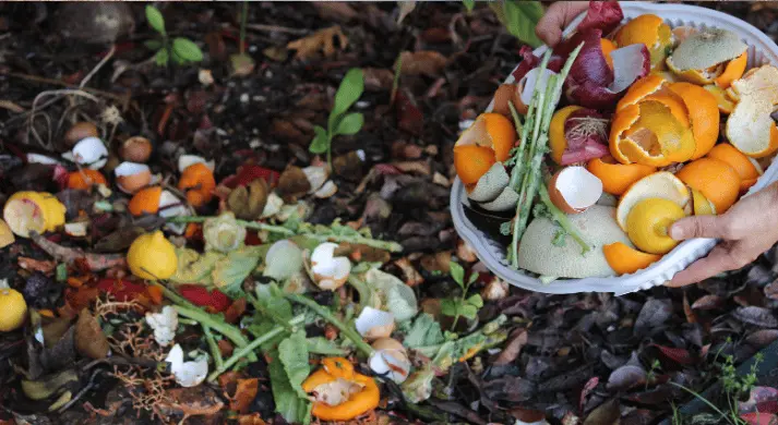 Kompost Yapımında Karşılaşılan Sorunlar ve Çözümleri