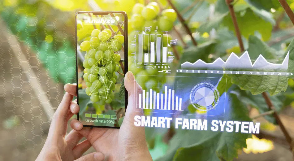 Tarımsal Zekanın Kalbi: Yapay Zeka ve Algoritma Optimizasyonu